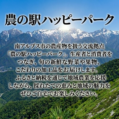 【発送月固定定期便】農の駅厳選!南アルプス旬のフルーツ定期便(貴陽・桃・シャイン)全3回