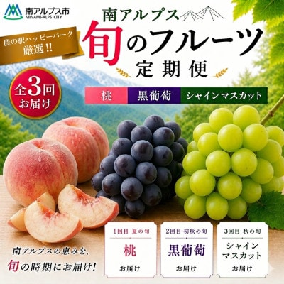 【発送月固定定期便】農の駅厳選!南アルプス旬のフルーツ定期便(桃・黒葡萄・シャイン)全3回
