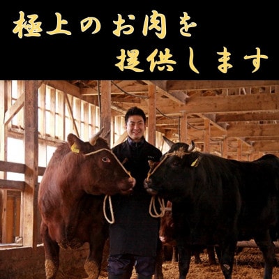 【暑さに負けるな】【家計応援】【期間限定】米沢牛すき焼き　400g+サイコロステーキ300g