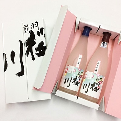 小国桜川　啓扇桜お花見セット