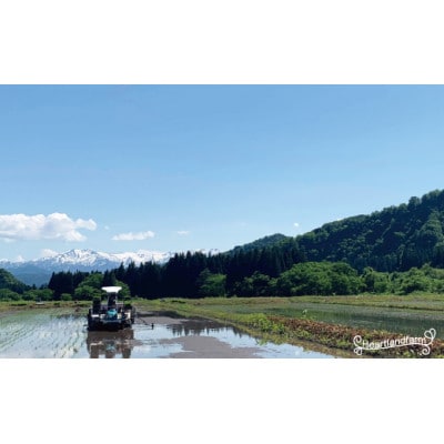 はえぬき・つや姫食べ比べセット 精米 2kg×2袋 令和7年産米 山形県小国町産