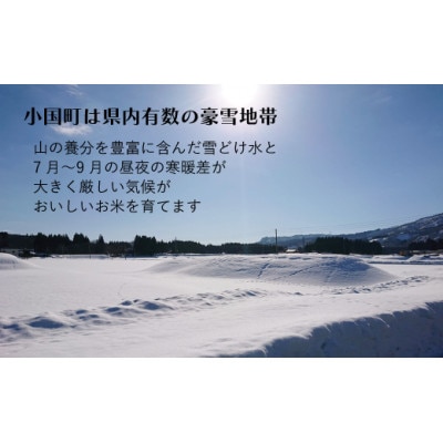 つや姫・雪若丸食べ比べセット 2kg×2袋 精米 令和7年産米 山形県小国町産