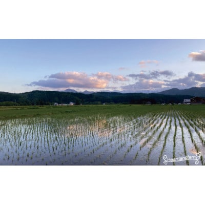 【毎月定期便】雪若丸 精米 2kg 山形県小国町産全5回