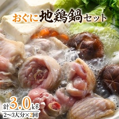 おぐに地鶏鍋セット(2～3人分×2回)