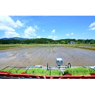 【さとふる限定】山形小国町産　はえぬき(精米)　5kg