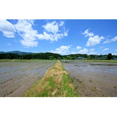 【さとふる限定】山形小国町産　はえぬき(精米)　5kg