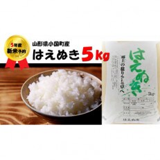 【令和5年 先行受付】山形県小国町産 はえぬき5kg精米