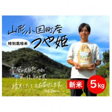 令和5年産　山形県小国町産　つや姫　精米・5kg