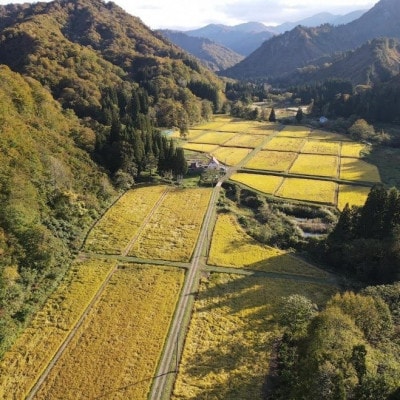 令和8年産米先行予約　山形県小国町産　雪若丸　精米5kg　東部開発