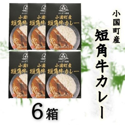 小国短角牛カレー(1人前×6箱)