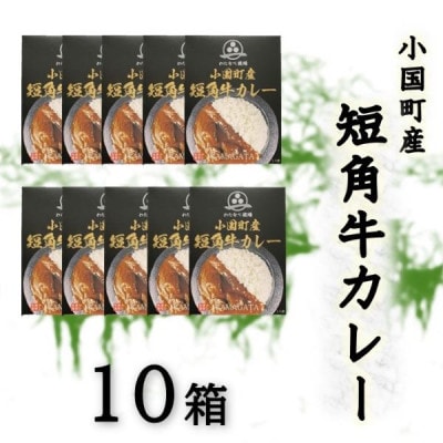 小国短角牛カレー(1人前×10箱)