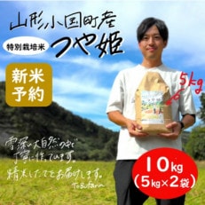 【新米 先行受付】令和6年産 つや姫10kg(5kg&times;2袋) 精米 山形県小国町産