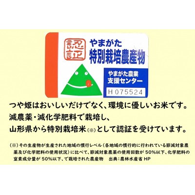令和6年産 つや姫10kg(5kg×2袋)　精米　山形県小国町産