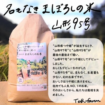 令和6年産 山形95号　5kg　精米　山形県小国町産
