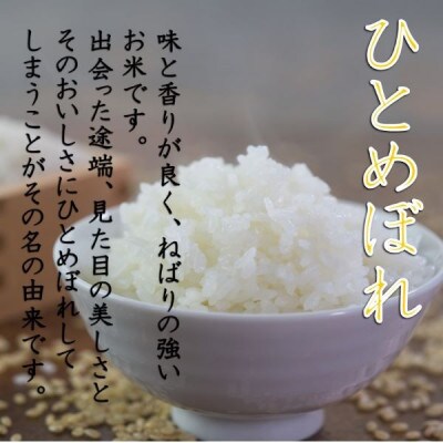 【令和6年】ひとめぼれ5kg　精米　山形県小国町産