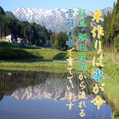 【令和6年】ひとめぼれ5kg　精米　山形県小国町産