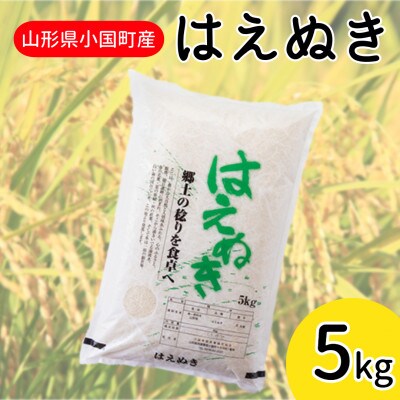 【令和8年産新米】山形県小国町産　はえぬき5kg　小国米穀商業協同組合