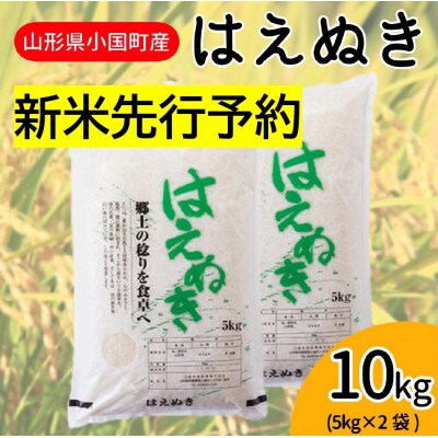 【令和6年産】山形県小国町産 はえぬき10kg(5kg×2袋) 精米