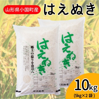 【令和8年産新米】山形県小国町産　はえぬき10kg(5kg×2袋)　小国米穀商業協同組合