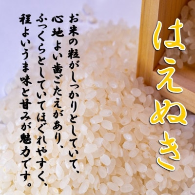【令和6年産】山形県小国町産 はえぬき15kg(5kg×3袋) 精米
