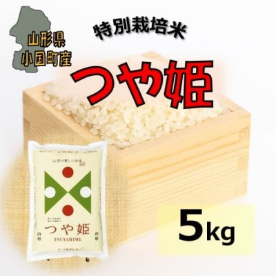【令和8年産新米】山形県小国町産　つや姫5kg　小国米穀商業協同組合