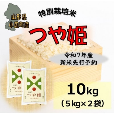【令和7年産新米先行予約】つや姫10kg(5k×2袋)山形県小国町産　精米　小国米穀商業協同組合