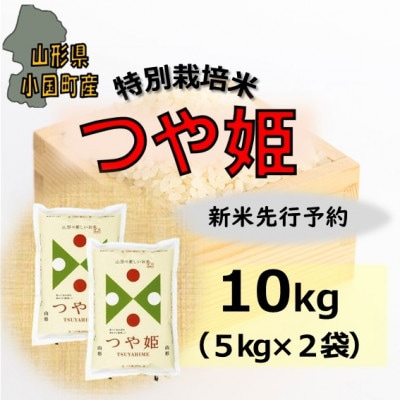 【令和8年産米先行予約】山形県小国町産　つや姫10kg(5kg×2袋)　小国米穀商業協同組合