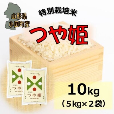 【令和8年産新米】山形県小国町産　つや姫10kg(5kg×2袋)　小国米穀商業協同組合
