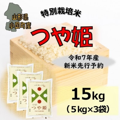 【令和7年産新米先行予約】つや姫15kg(5kg×3袋)山形県小国町産　精米　小国米穀商業協同組合