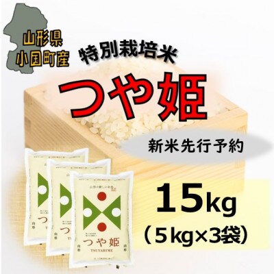 【令和8年産米先行予約】山形県小国町産　つや姫15kg(5kg×3袋)　小国米穀商業協同組合