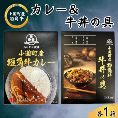 短角牛カレー&牛丼の具　各1箱(計2箱)