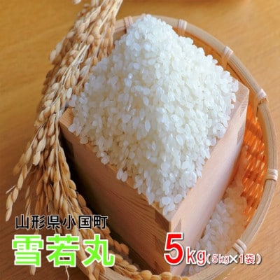 【令和8年産新米】雪若丸5kg(5kg×1袋)　おぐにのこめ