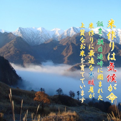 【令和7年産米 先行予約】雪若丸 精米 5kg(5kg×1袋)　おぐにのこめ