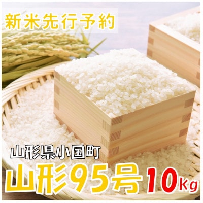 【令和7年産米 先行予約】山形95号 精米 10kg(5kg×2袋)　おぐにのこめ