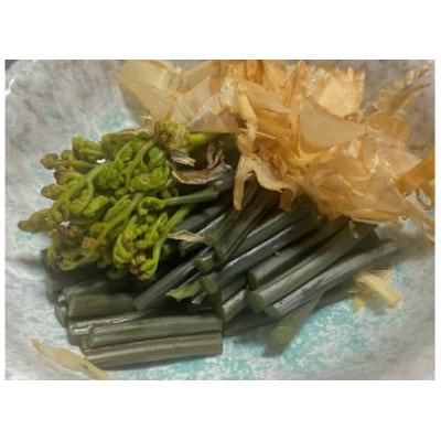 【数量限定】採れたて山菜　生わらび　1kg×1束