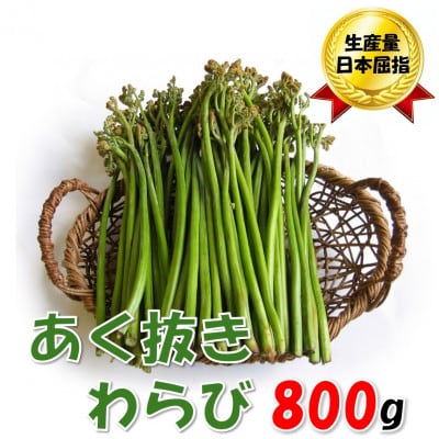 【数量限定】採れたて山菜　あく抜きわらび　200g×4束