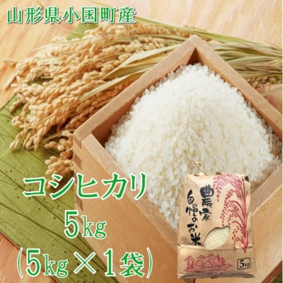 【令和8年産米】コシヒカリ 精米 5kg　佐藤