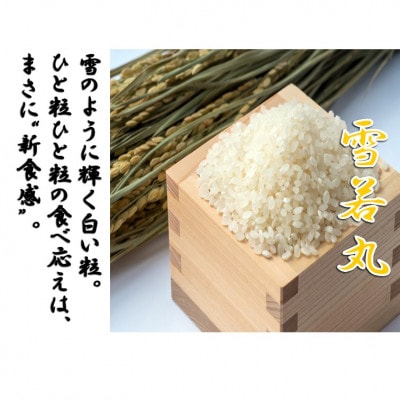 【令和8年産新米先行予約】つや姫&雪若丸&はえぬき(2kg×各1袋　計6kg)　小国米穀商業協同組合