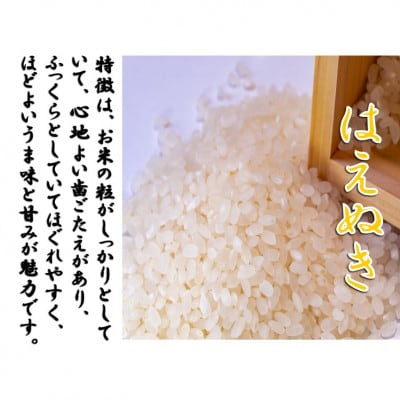 【令和8年産新米　先行予約】山形県小国町産　はえぬき2kg　小国米穀商業協同組合