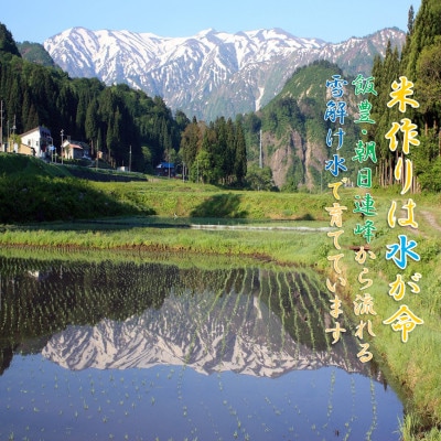 【令和8年産　新米先行予約】山形県小国町産　雪若丸2kg　小国米穀商業協同組合