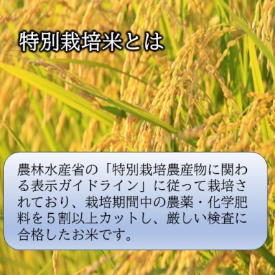 【令和8年産新米　先行予約】山形県小国町産　つや姫2kg　小国米穀商業協同組合