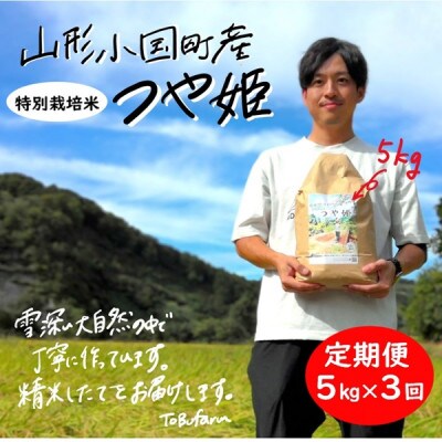 【毎月定期便】山形県小国町産　つや姫5kg(精米)全3回