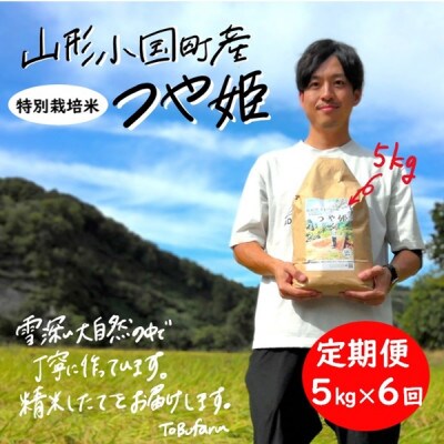 【毎月定期便】山形県小国町産　つや姫5kg(精米)全6回