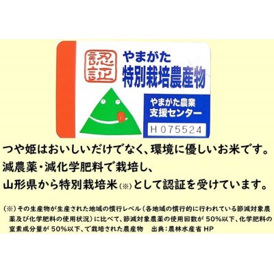 【毎月定期便】山形県小国町産　つや姫5kg(精米)全6回