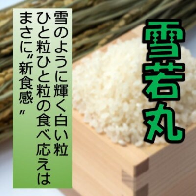 【毎月定期便】山形県小国町産　雪若丸5kg(精米)全6回