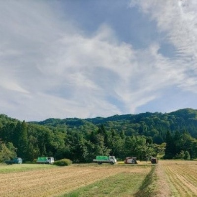 【毎月定期便】山形県小国町産　雪若丸(精米)5kg　㈲東部開発全3回