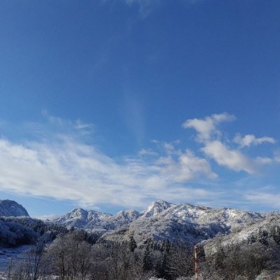 【毎月定期便】山形県小国町産　雪若丸(精米)5kg　㈲東部開発全3回