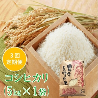 【発送月固定定期便】コシヒカリ 精米 5kg　佐藤全3回