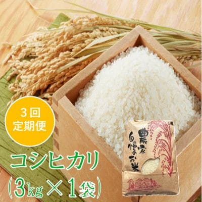【発送月固定定期便】コシヒカリ 精米 3kg　佐藤全3回