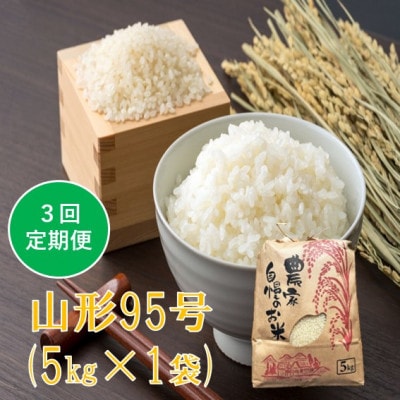【発送月固定定期便】山形95号 精米 5kg　佐藤全3回